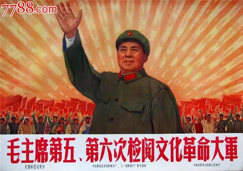 哪里可以办纽芬兰驾照